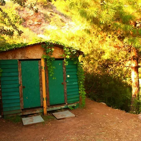 Cosmos Lounge Kamp alanı *